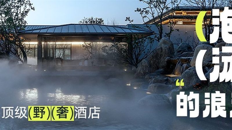 上海夏令营师生配比，揭秘安全与质量的黄金比例